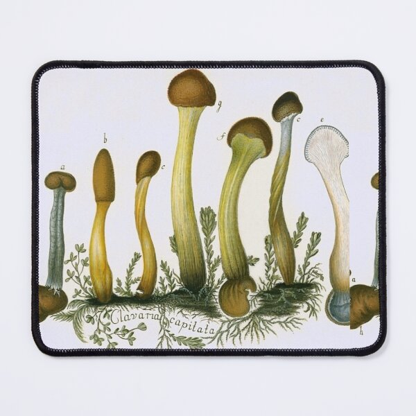 Item preview, Oldish Vintage Mushroom Montage Set #6 designed and sold by Krispsm.