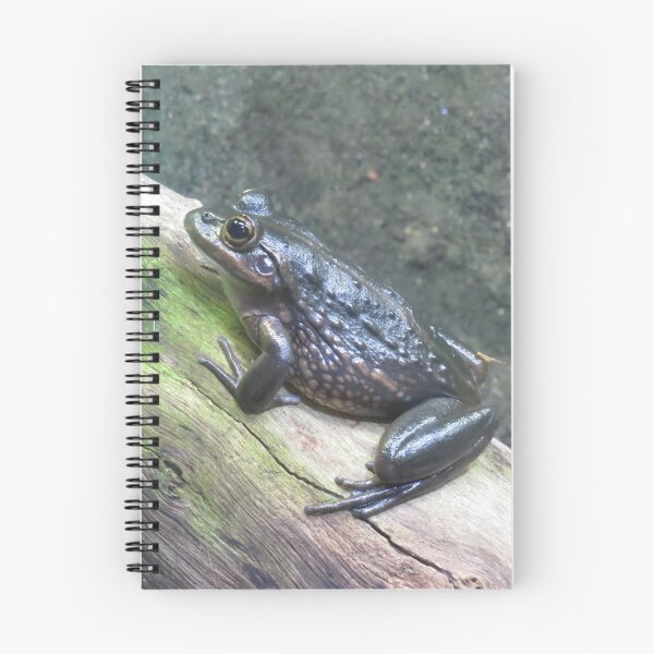 Artikelvorschau, Südlicher Glockenfrosch entworfen und verkauft von greentiger1.