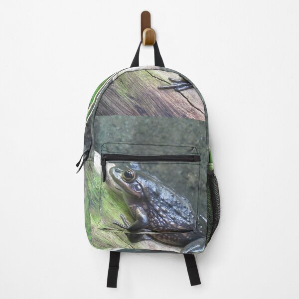 Item preview, Southern bell frog designed and sold by greentiger1.