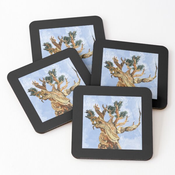 Item preview, Still Alive Bristlecone Pine Watercolor designed and sold by ThangYenNss.