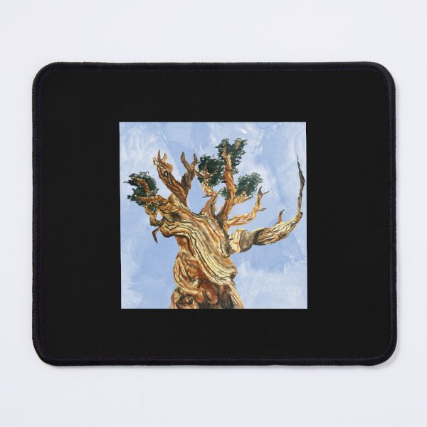 Item preview, Still Alive Bristlecone Pine Watercolor designed and sold by ThangYenNss.