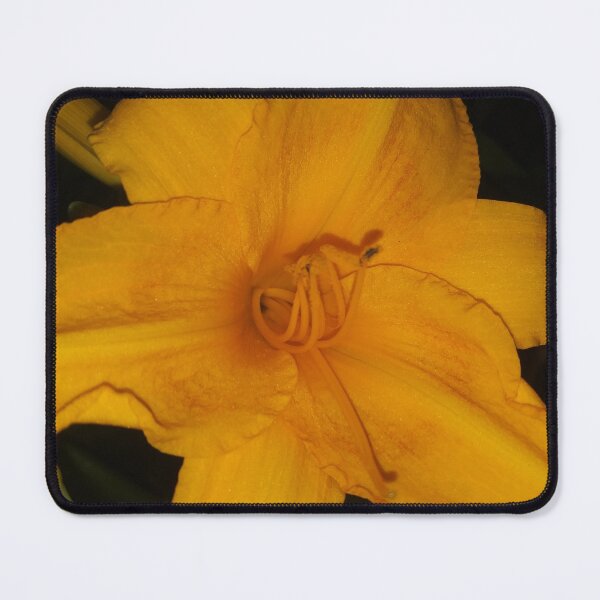 Item preview, Yellow Flower designed and sold by Euphoria34.