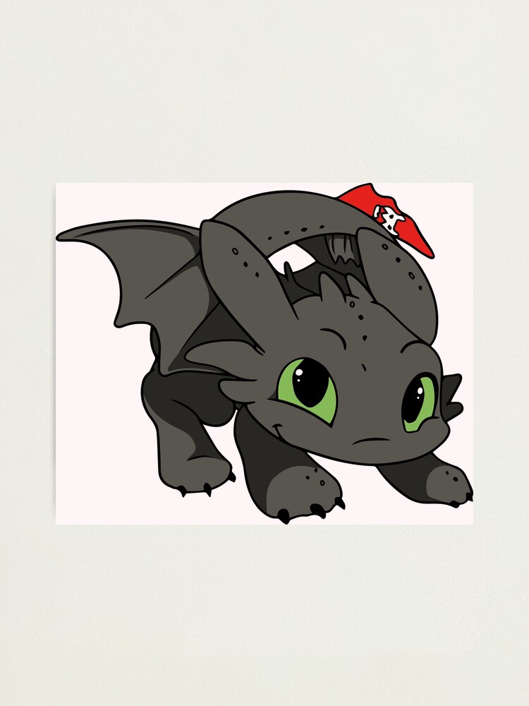 Baby toothless Dragon ( How To Train Your Dragon) 