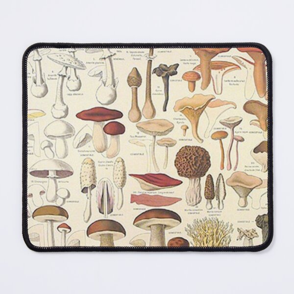 Item preview, Oldish Vintage Mushroom Montage Set #7 designed and sold by Krispsm.