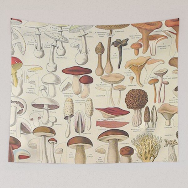 Item preview, Oldish Vintage Mushroom Montage Set #7 designed and sold by Krispsm.
