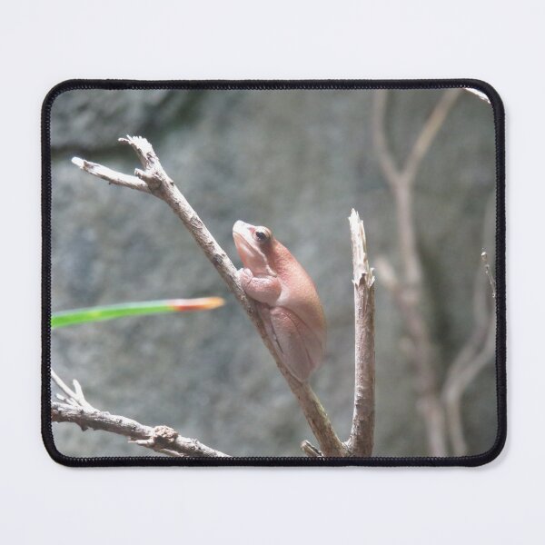 Item preview, Brown eastern dwarf tree frog designed and sold by greentiger1.
