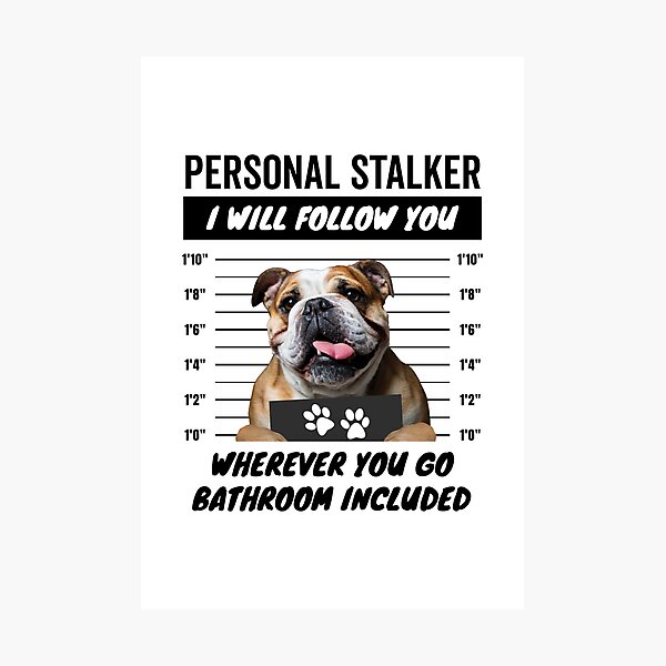 Artikel-Vorschau von Persönlicher Stalker-Hund – Englische Bulldogge, designt und verkauft von More Cute Dogs.