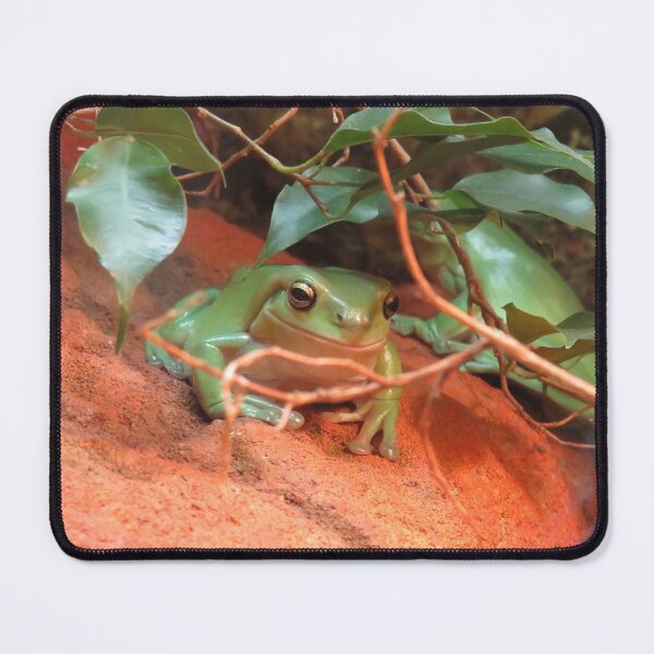 Item preview, Green tree frog designed and sold by greentiger1.
