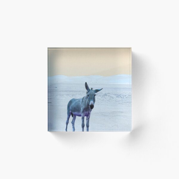 Item preview, Donkey in the Desert designed and sold by Blertz.