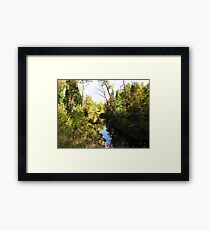 Serene Framed Print