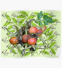 Rose Hips Poster