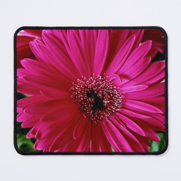Item preview, PURPLE GERBERA designed and sold by Steffi August.