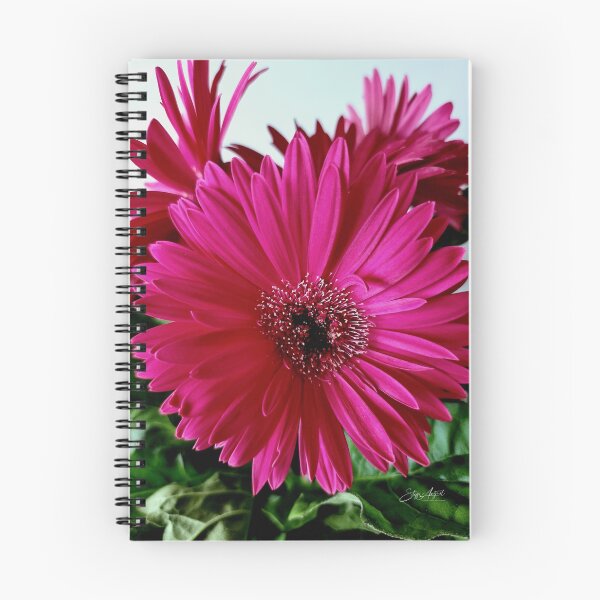 Item preview, PURPLE GERBERA designed and sold by Steffi August.