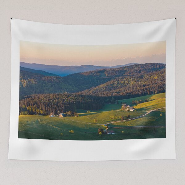 Item preview, Forest and Black Forest houses in the Black Forest near Schauinsland designed and sold by dieterich.