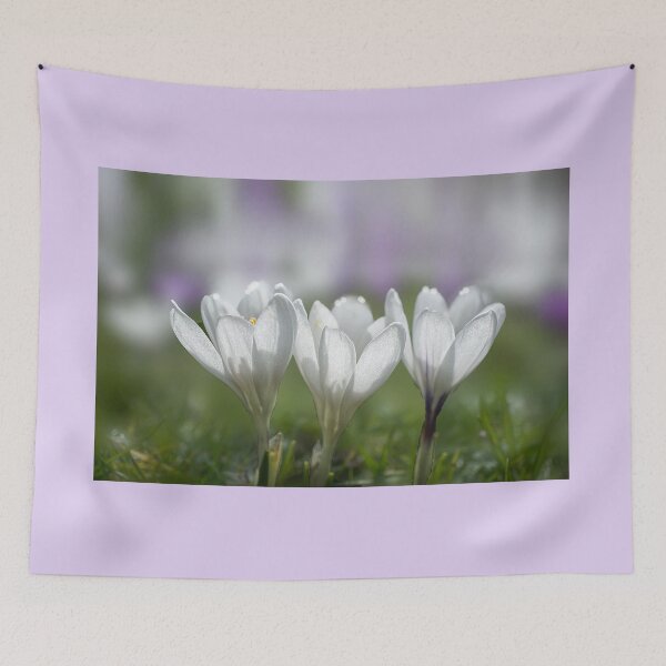 Item preview, White Crocus Trio designed and sold by Alisonchambers2.