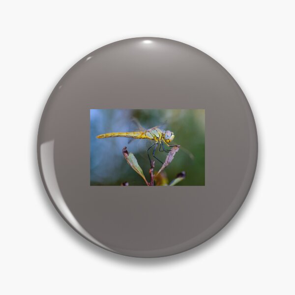 Item preview, Best dragonfly         designed and sold by MagicNatureds.