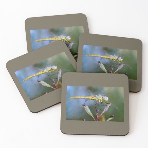 Item preview, Best dragonfly         designed and sold by MagicNatureds.