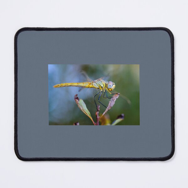 Item preview, Best dragonfly designed and sold by MagicNatureds.