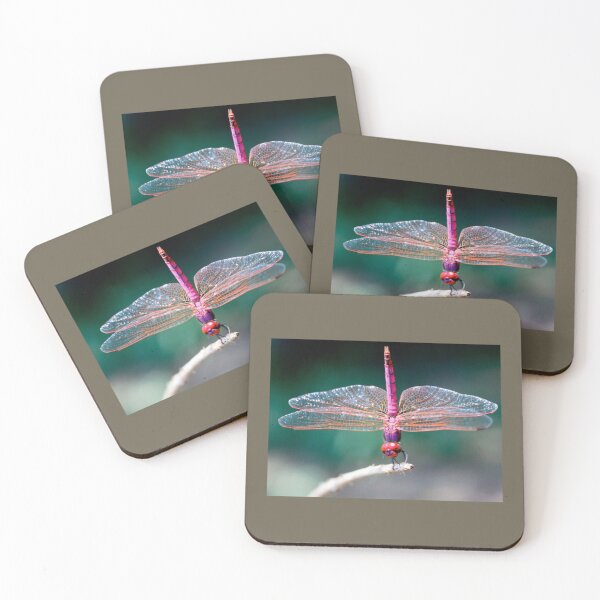 Item preview, Best dragonfly       designed and sold by MagicNatureds.