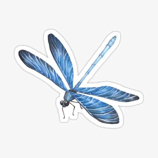 Item preview, Best Dragonfly  blue beautiful dragonfly    designed and sold by MagicNatureds.
