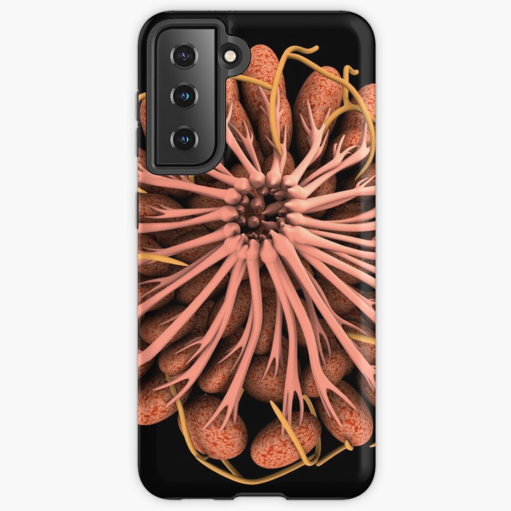Anatomy of the female breast. iPhone Wallet for Sale by