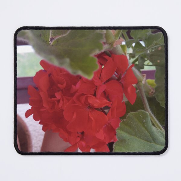 Item preview, heart shaped geranium designed and sold by Maitedo.