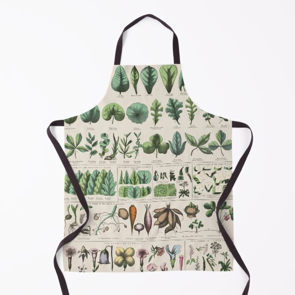 Item preview, Vintage Botanical Chart XIX designed and sold by BrightSquare.
