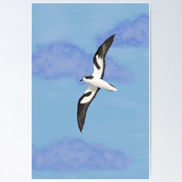 Item preview, Bonin petrel designed and sold by Nimzoid.