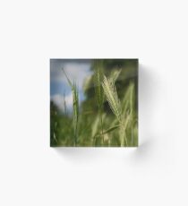 Grass Acrylic Block