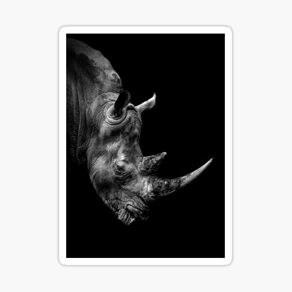"black and white rhino" Sticker by rubensales Redbubble