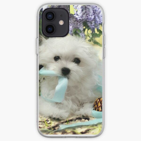 mon nouveau petit garçon maltais jouant avec un ruban bleu.
Ceci est un lien vers notre site Web "Hermes le maltais": http: //www.snowdropthemaltese.com/about.html Coque souple iPhone