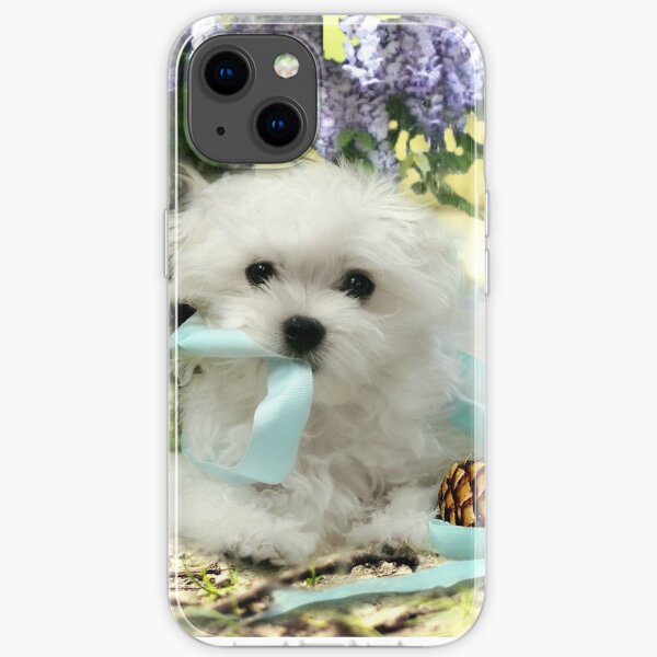 Mein neuer kleiner maltesischer Junge spielt mit einem blauen Band.
Dies ist ein Link zu unserer Website "Hermes the Maltese": http: //www.snowdropthemaltese.com/about.html iPhone Flexible Hülle