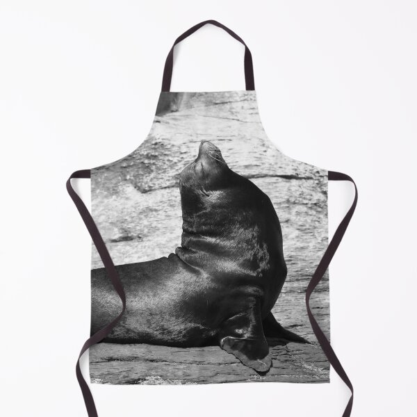 Item preview, California Sea Lion in Loreto Mexico designed and sold by Nola Lee Kelsey.