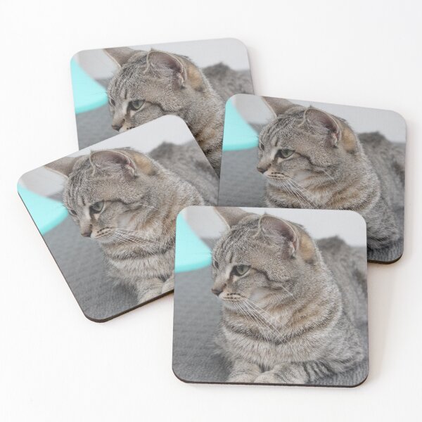 Item preview, Proud Kitty designed and sold by eidann.