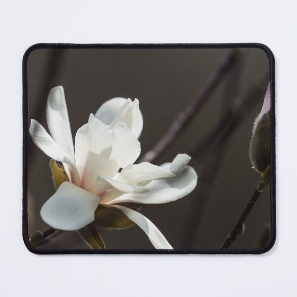 Item preview, A Magnolia Pair designed and sold by mljdwhite.