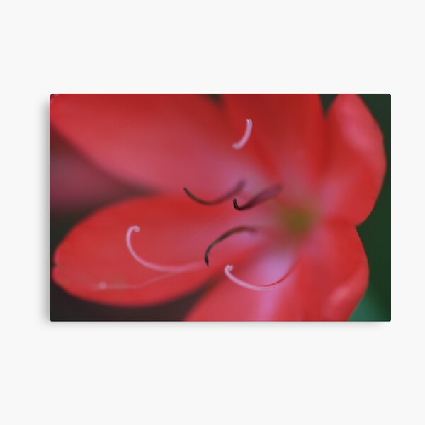 Item preview, Stamens designed and sold by Justine Humphries.