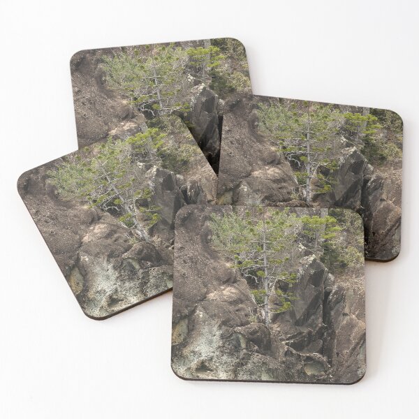 Item preview, Rock Grows Pinetree designed and sold by Guyzimijz.