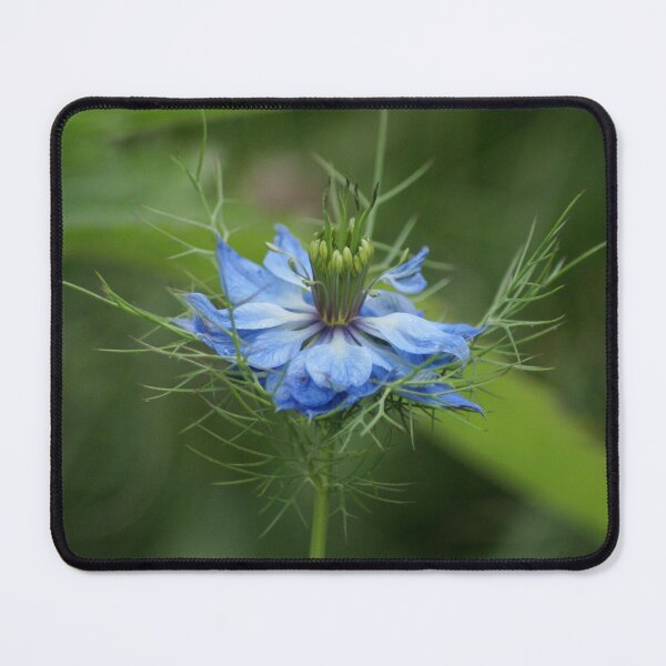 Item preview, Nigella designed and sold by dianara-lunae.