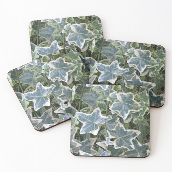 Item preview, variegated ivy leaves designed and sold by nigejohn.