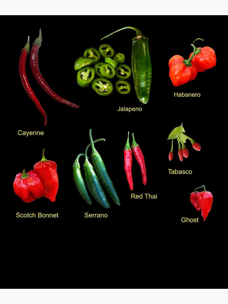 Piment fort - Serrano rouge piquant