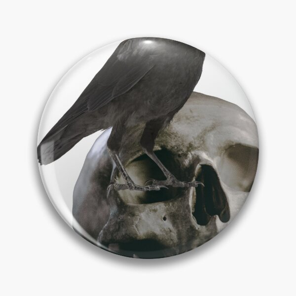 Item preview, Raven Skull: Raven standing on a skull designed and sold by hetvick.