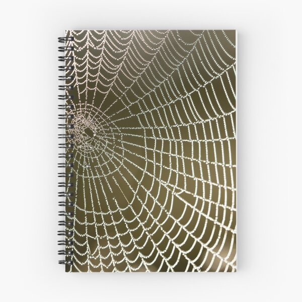 Aperçu de l'œuvre Toile d'araignée créée et vendue par Printomatic.