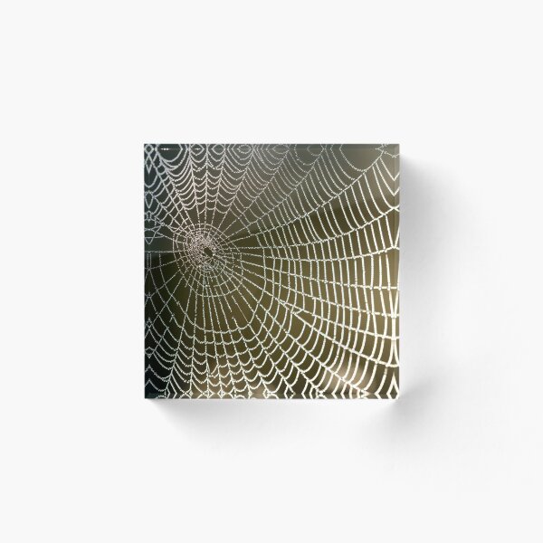 Aperçu de l'œuvre Toile d'araignée créée et vendue par Printomatic.