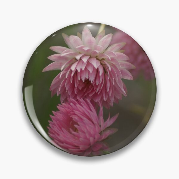 Item preview, Strawflower designed and sold by dianara-lunae.
