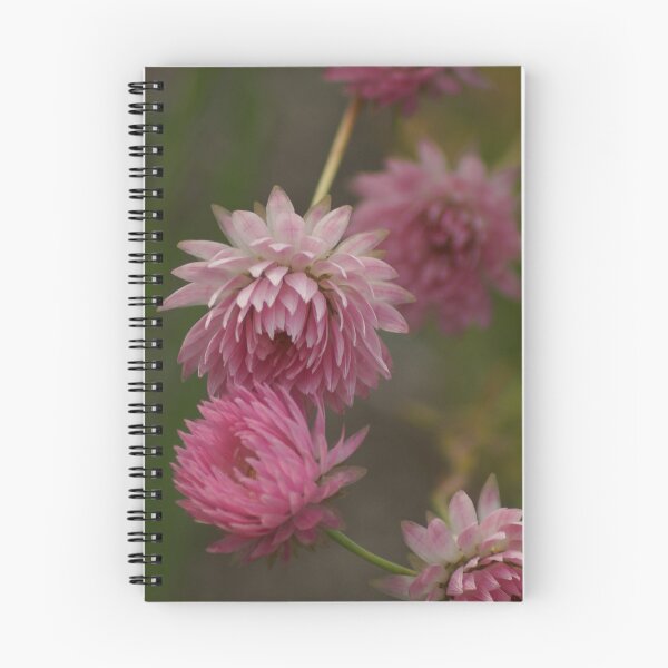 Item preview, Strawflower designed and sold by dianara-lunae.