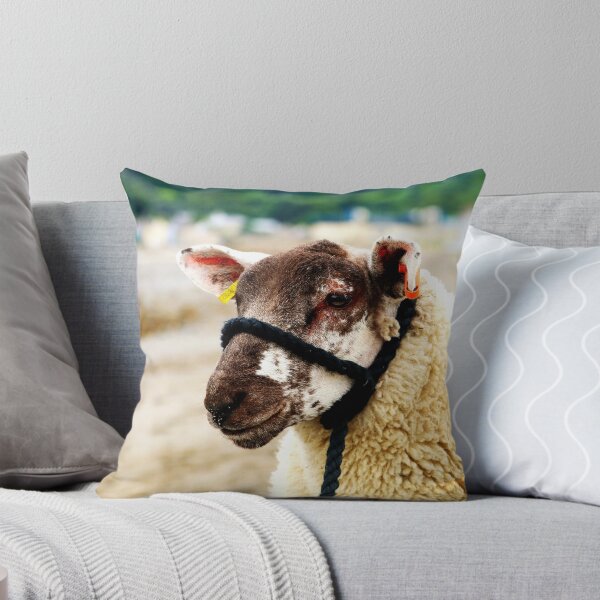 Item preview, Nobby at the Beach designed and sold by thegreendogs.