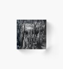 Goal Post Opuntia Acrylic Block