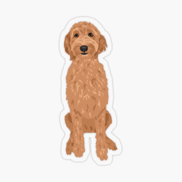 F1bb Goldendoodle Labradoodle Sticker for Sale by