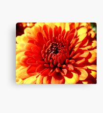 Flower Canvas Print