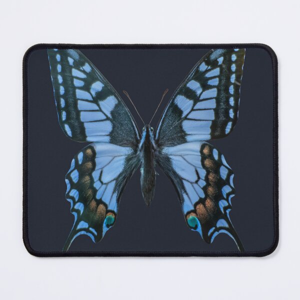 Item preview, Blue swallowtail butterfly designed and sold by ivanoel.